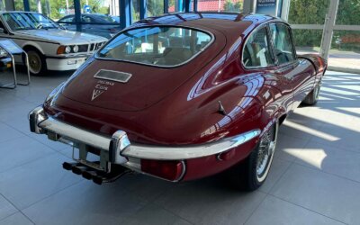 Przygotuj swojego Jaguara na jesień i zimę. Co warto zrobić we wrześniu?